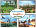 Ecossistemas