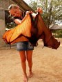 /album/galeria-de-fotos-calendario-de-eventos-morcegos/images-5-jpeg/