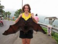 /album/galeria-de-fotos-calendario-de-eventos-morcegos/flying-dog-07-jpg/